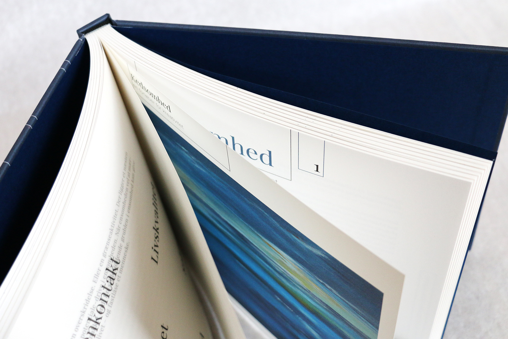 den_blaa_ild_bogdesign_camilla_engrob